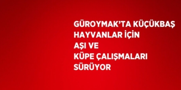 29689274423145131414