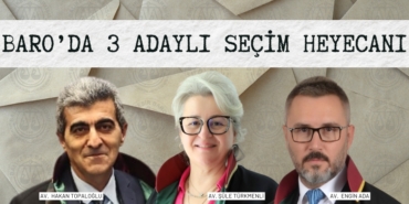 29689310423000330202