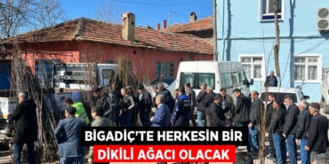 29694234113160222634tasarimli