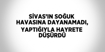 29695257362731631320tasarimli