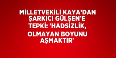 29700268492802127090tasarimli