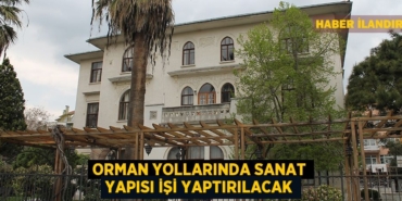 29712206902050126736tasarimli