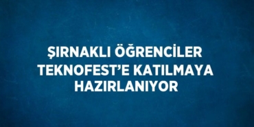 29724240912020425496tasarimli