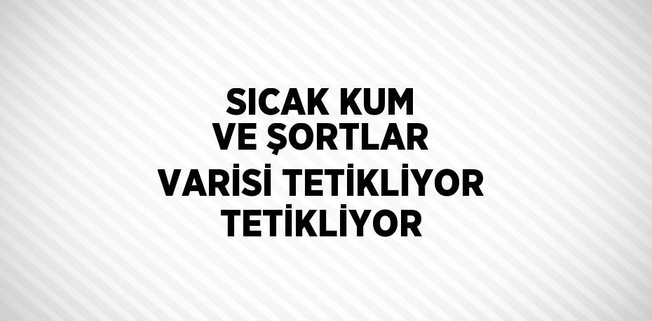 29725204102826630351tasarimli