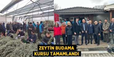 29727249552362020733tasarimli