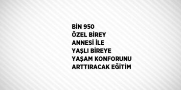 29727278802690926088