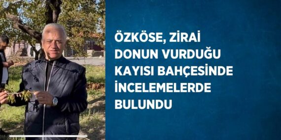 ÖZKÖSE, ZİRAİ DONUN VURDUĞU KAYISI BAHÇESİNDE İNCELEMELERDE BULUNDU