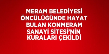 29732215792703721968tasarimli