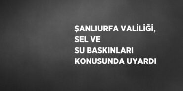 29732313602229921678