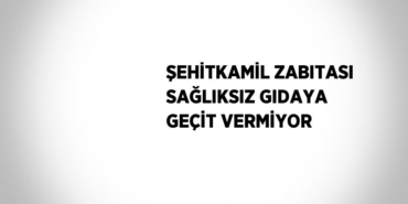 29735202912019228143