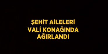 29735309862194720307tasarimli