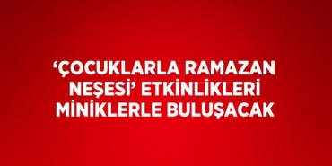 29742257173174120880tasarimli