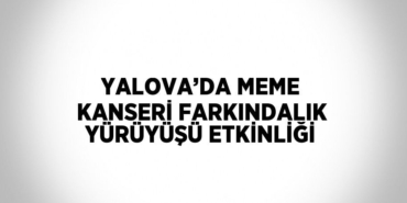 29747202442437124460tasarimli