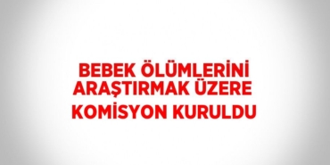 29748237953142925784tasarimli