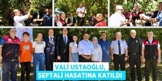 VALİ USTAOĞLU, ŞEFTALİ HASATINA KATILDI