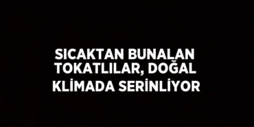 29751201322010831718tasarimli