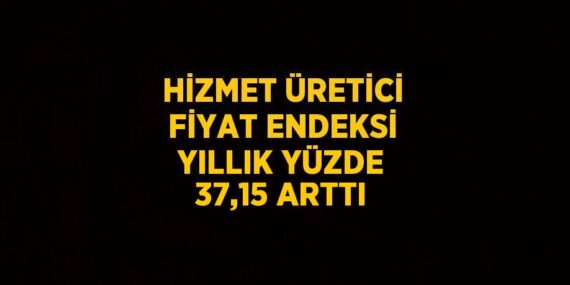 HİZMET ÜRETİCİ FİYAT ENDEKSİ YILLIK YÜZDE 37,15 ARTTI