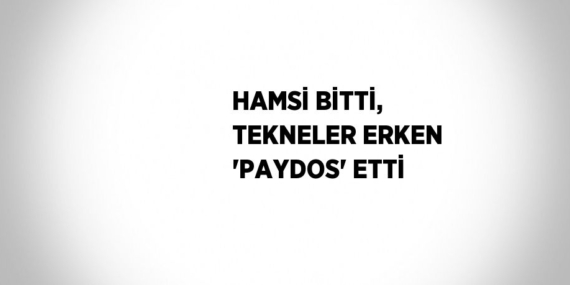 HAMSİ BİTTİ, TEKNELER ERKEN ‘PAYDOS’ ETTİ