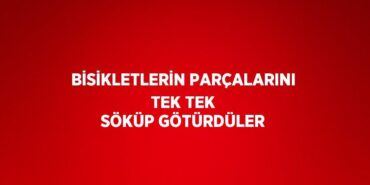 29764265932772320390tasarimli