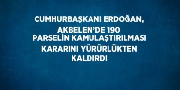 29765268822473421249tasarimli