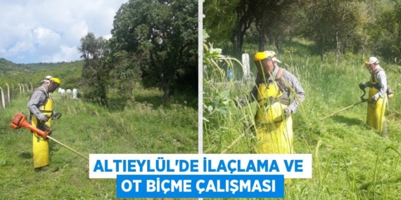 ALTIEYLÜL’DE İLAÇLAMA VE OT BİÇME ÇALIŞMASI