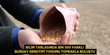 29778274022119720740tasarimli