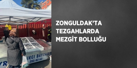 ZONGULDAK’TA TEZGAHLARDA MEZGİT BOLLUĞU