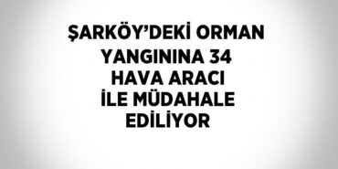 29788259402137927393tasarimli