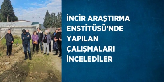 İNCİR ARAŞTIRMA ENSTİTÜSÜ’NDE YAPILAN ÇALIŞMALARI İNCELEDİLER