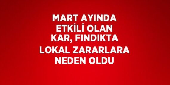 MART AYINDA ETKİLİ OLAN KAR, FINDIKTA LOKAL ZARARLARA NEDEN OLDU