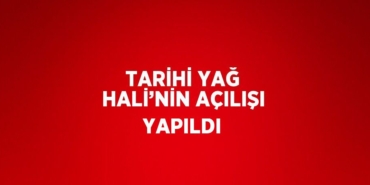 29799206473078427991tasarimli