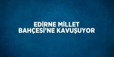 29804229742773124446tasarimli