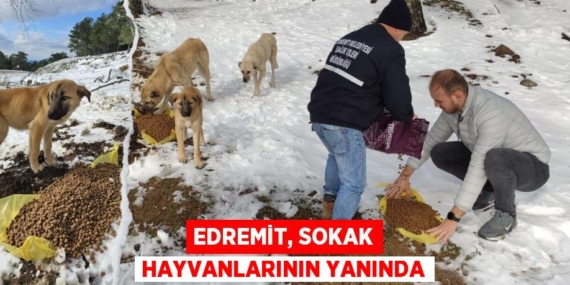 EDREMİT, SOKAK HAYVANLARININ YANINDA
