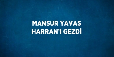 29812247032621425659tasarimli