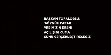29815248693082225731
