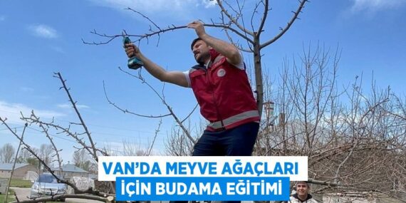 VAN’DA MEYVE AĞAÇLARI İÇİN BUDAMA EĞİTİMİ