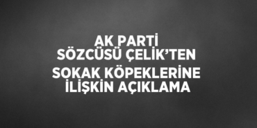 29821255102146028701tasarimli