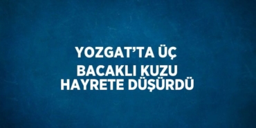 29824207622899228715tasarimli