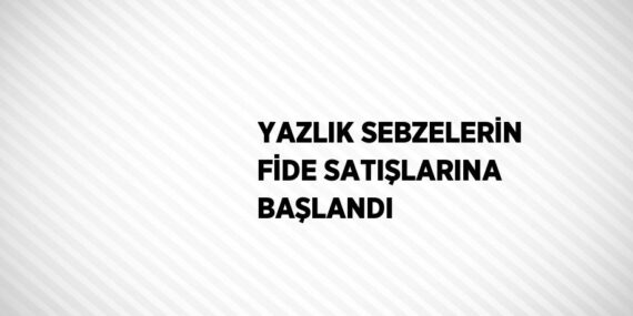 YAZLIK SEBZELERİN FİDE SATIŞLARINA BAŞLANDI