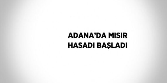 ADANA’DA MISIR HASADI BAŞLADI