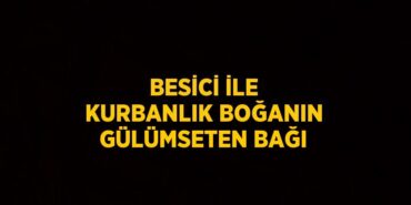 29830206272071126835tasarimli
