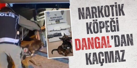 NARKOTİK KÖPEĞİ DANGAL’DAN KAÇMAZ