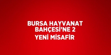 29836290962344830767tasarimli