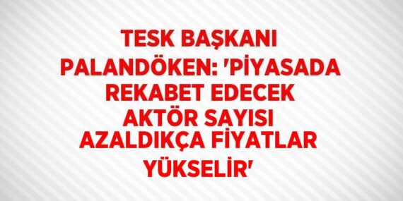 TESK BAŞKANI PALANDÖKEN: ‘PİYASADA REKABET EDECEK AKTÖR SAYISI AZALDIKÇA FİYATLAR YÜKSELİR’