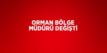 29846224872693322256tasarimli