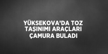 29848275852453927874tasarimli