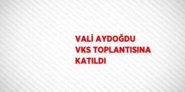 29851233912148128048