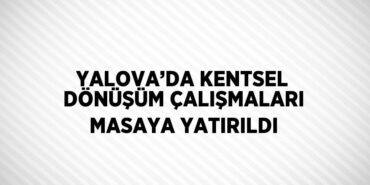 29853253972485628275tasarimli