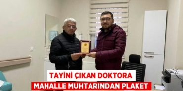 29856298072639821324tasarimli