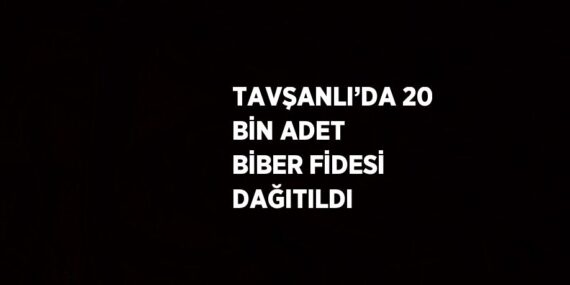 TAVŞANLI’DA 20 BİN ADET BİBER FİDESİ DAĞITILDI